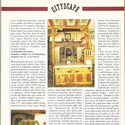 08.1993-Thy Cityscape Sayı 8