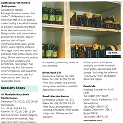 09.2006-The Guide Eylül Sayısı