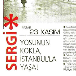 22.11.2008-Yeni Şafak