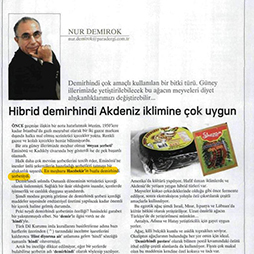 08.01.2012-Paradergi