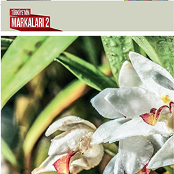 06.11.2013-Hello Eki Kasım