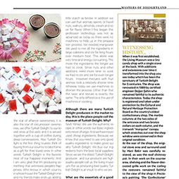 Delightland Dergisi Ocak Sayısı